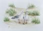 Preview: 25 art postcards DK12 seagulls on the beach - reverse side Cuxhaven - watercolor